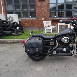 Harley-Davidson XL 883/1200 -94 H.4750E myyty!!