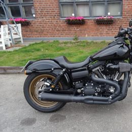 Harley-Davidson FXDLS Low Rider -17 H.21750e