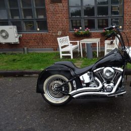Harley-Davidson FLSTC -04 H.8750€ myyty!!